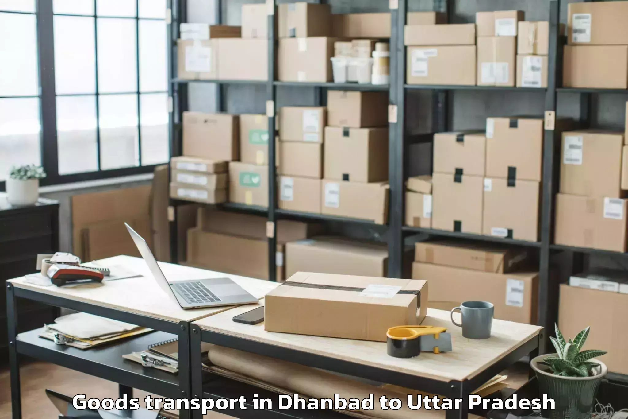 Efficient Dhanbad to Mahoba Goods Transport